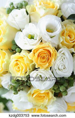 Stock Image - Table coordinate. Fotosearch