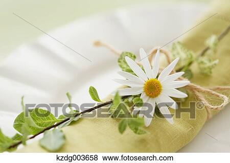Table coordinate View Large Photo Image Stock Photo - Table coordinate. Fotosearch