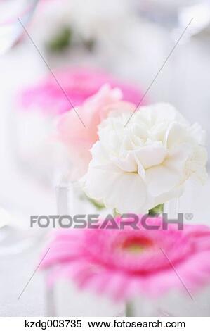Table coordinate View Large Photo Image Stock Photography - Table coordinate. Fotosearch