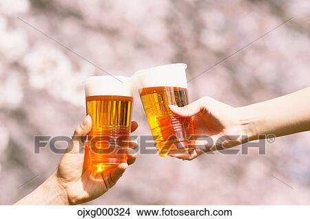 Picture - Toasting with beer under the cherry blossoms. Fotosearch
