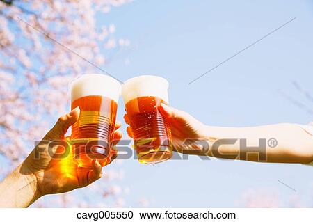 Toasting with beer under the cherry blossoms View Large Photo Image Stock Image - Toasting with beer under the cherry blossoms. Fotosearch