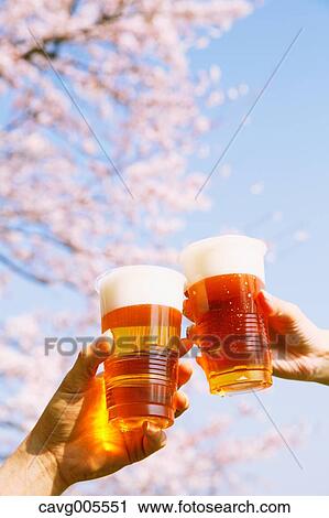 Stock Image - Toasting with beer under the cherry blossoms. Fotosearch