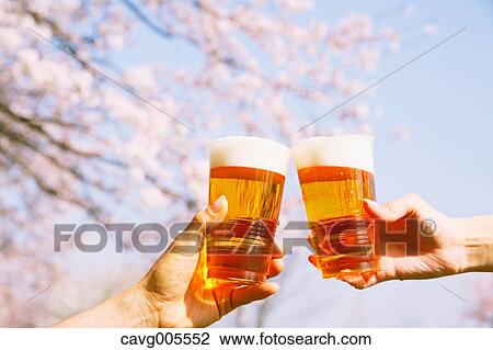 Stock Image - Toasting with beer under the cherry blossoms. Fotosearch