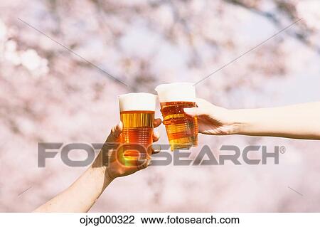 Toasting with beer under the cherry blossoms View Large Photo Image Stock Image - Toasting with beer under the cherry blossoms. Fotosearch