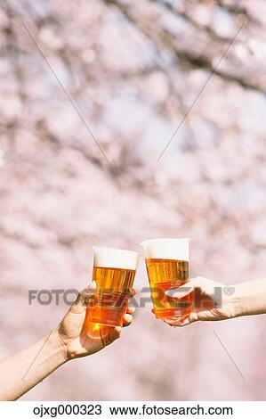 Toasting with beer under the cherry blossoms View Large Photo Image Stock Image - Toasting with beer under the cherry blossoms. Fotosearch