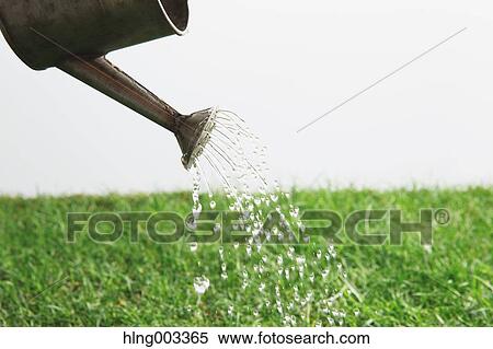 Stock Photography - Watering can on grass. Fotosearch