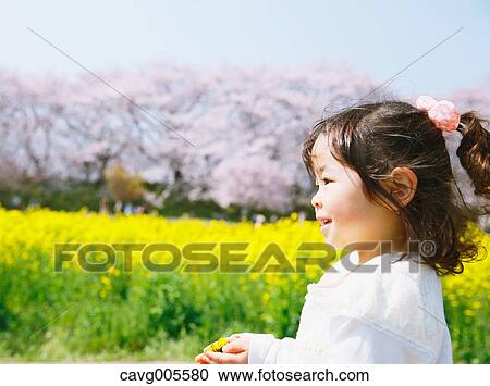 Young smiling Japanese girl enjoying cherry blossoms in a city park View Large Photo Image Stock Image - Young smiling Japanese girl enjoying cherry blossoms in a city park. Fotosearch