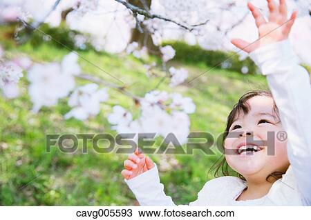 Stock Image - Young smiling Japanese girl enjoying cherry blossoms in a city park. Fotosearch