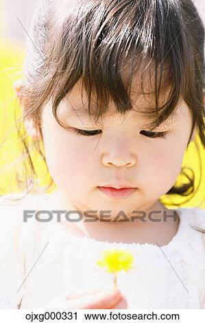 Young smiling Japanese girl enjoying cherry blossoms in a city park View Large Photo Image Stock Image - Young smiling Japanese girl enjoying cherry blossoms in a city park. Fotosearch