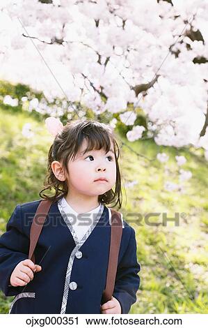 Young smiling Japanese girl enjoying cherry blossoms in a city park View Large Photo Image Stock Image - Young smiling Japanese girl enjoying cherry blossoms in a city park. Fotosearch