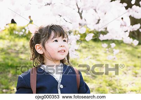 Young smiling Japanese girl enjoying cherry blossoms in a city park View Large Photo Image Stock Image - Young smiling Japanese girl enjoying cherry blossoms in a city park. Fotosearch