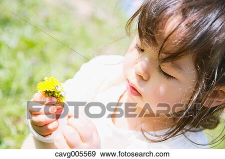 Young smiling Japanese girl enjoying cherry blossoms in a city park View Large Photo Image Stock Photo - Young smiling Japanese girl enjoying cherry blossoms in a city park. Fotosearch
