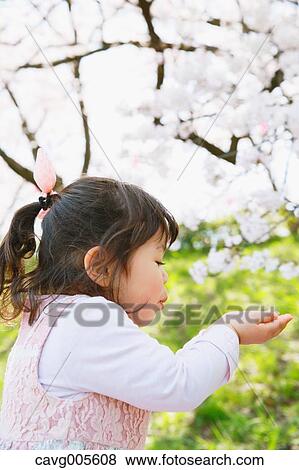 Young smiling Japanese girl enjoying cherry blossoms in a city park View Large Photo Image Stock Photo - Young smiling Japanese girl enjoying cherry blossoms in a city park. Fotosearch