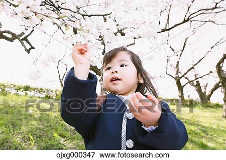 Young smiling Japanese girl enjoying cherry blossoms in a city park View Large Photo Image Stock Photo - Young smiling Japanese girl enjoying cherry blossoms in a city park. Fotosearch