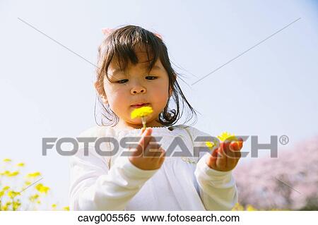 Young smiling Japanese girl enjoying cherry blossoms in a city park View Large Photo Image Stock Photography - Young smiling Japanese girl enjoying cherry blossoms in a city park. Fotosearch