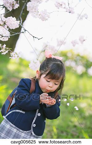Young smiling Japanese girl enjoying cherry blossoms in a city park View Large Photo Image Stock Photography - Young smiling Japanese girl enjoying cherry blossoms in a city park. Fotosearch