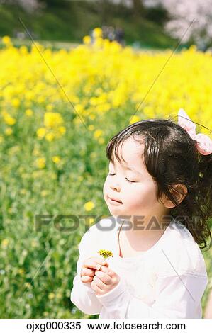 Young smiling Japanese girl enjoying cherry blossoms in a city park View Large Photo Image Stock Photography - Young smiling Japanese girl enjoying cherry blossoms in a city park. Fotosearch