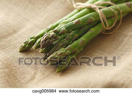 Asparagus View Large Photo Image Picture - Asparagus. Fotosearch