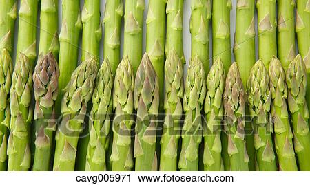 Stock Image - Asparagus. Fotosearch