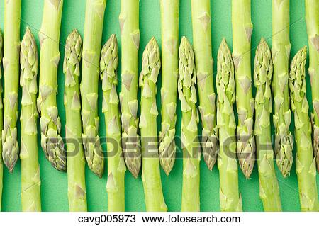 Stock Image - Asparagus. Fotosearch