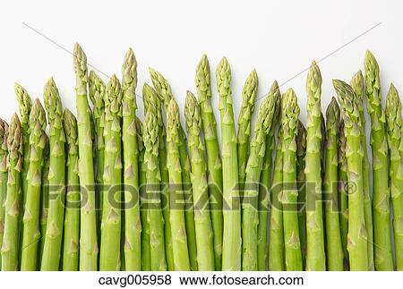 Asparagus View Large Photo Image Stock Photo - Asparagus. Fotosearch