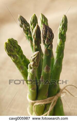 Asparagus View Large Photo Image Stock Photo - Asparagus. Fotosearch