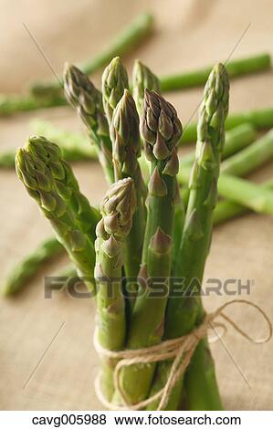 Asparagus View Large Photo Image Stock Photo - Asparagus. Fotosearch