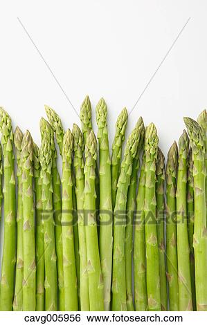 Asparagus View Large Photo Image Stock Photograph - Asparagus. Fotosearch