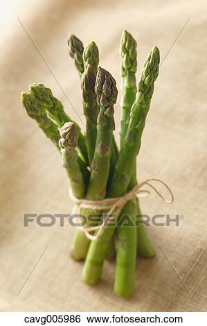 Asparagus View Large Photo Image Stock Photograph - Asparagus. Fotosearch