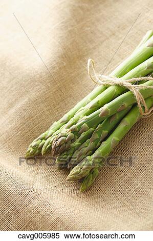 Asparagus View Large Photo Image Stock Photography - Asparagus. Fotosearch