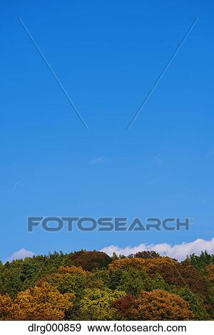 Autumn leaves and blue sky at Sagami Lake, Kanagawa Prefecture, Japan View Large Photo Image Stock Photo - Autumn leaves and blue sky at Sagami Lake, Kanagawa Prefecture, Japan. Fotosearch