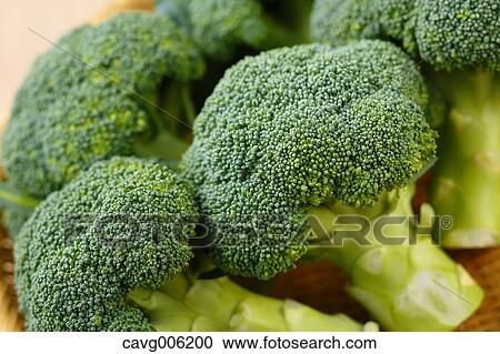 Stock Image - Broccoli. Fotosearch