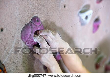 Close up of Japanese climbing athlete in action View Large Photo Image Stock Photo - Close up of Japanese climbing athlete in action. Fotosearch