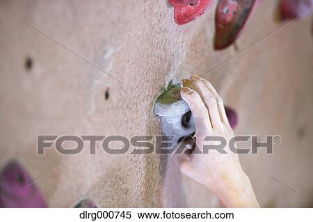 Close up of Japanese climbing athlete in action View Large Photo Image Stock Photography - Close up of Japanese climbing athlete in action. Fotosearch