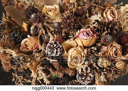 Stock Image - Dried flowers. Fotosearch