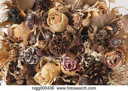 Dried flowers View Large Photo Image Stock Photograph - Dried flowers. Fotosearch