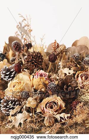 Dried flowers View Large Photo Image Stock Photography - Dried flowers. Fotosearch