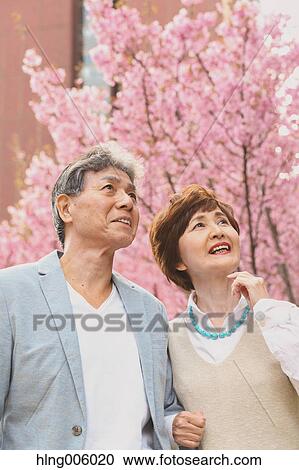 Fashionable Japanese senior couple and cherry blossoms downtown Tokyo View Large Photo Image Stock Image - Fashionable Japanese senior couple and cherry blossoms downtown Tokyo. Fotosearch