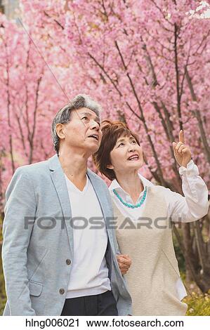 Fashionable Japanese senior couple and cherry blossoms downtown Tokyo View Large Photo Image Stock Image - Fashionable Japanese senior couple and cherry blossoms downtown Tokyo. Fotosearch