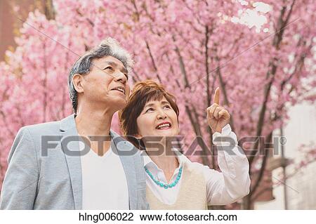 Fashionable Japanese senior couple and cherry blossoms downtown Tokyo View Large Photo Image Stock Image - Fashionable Japanese senior couple and cherry blossoms downtown Tokyo. Fotosearch