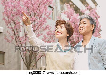 Fashionable Japanese senior couple and cherry blossoms downtown Tokyo View Large Photo Image Stock Photo - Fashionable Japanese senior couple and cherry blossoms downtown Tokyo. Fotosearch