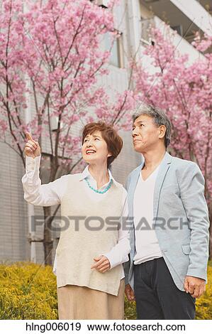Fashionable Japanese senior couple and cherry blossoms downtown Tokyo View Large Photo Image Stock Photo - Fashionable Japanese senior couple and cherry blossoms downtown Tokyo. Fotosearch