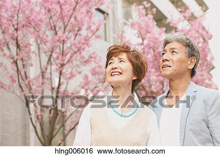Fashionable Japanese senior couple and cherry blossoms downtown Tokyo View Large Photo Image Stock Photograph - Fashionable Japanese senior couple and cherry blossoms downtown Tokyo. Fotosearch