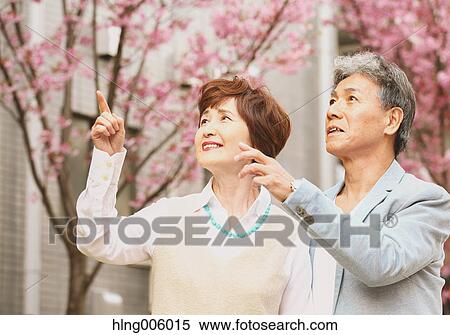 Fashionable Japanese senior couple and cherry blossoms downtown Tokyo View Large Photo Image Stock Photography - Fashionable Japanese senior couple and cherry blossoms downtown Tokyo. Fotosearch