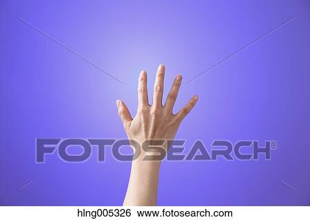 Female hand performing touch gesture View Large Photo Image Stock Photograph - Female hand performing touch gesture. Fotosearch