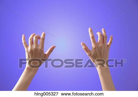 Female hands performing touch gesture View Large Photo Image Stock Photo - Female hands performing touch gesture. Fotosearch