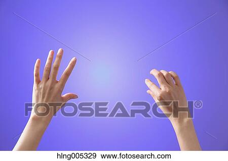 Female hands performing touch gesture View Large Photo Image Stock Photo - Female hands performing touch gesture. Fotosearch