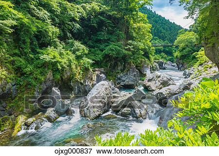 Fresh green at Hatonosu Valley, Tokyo, Japan View Large Photo Image Stock Photo - Fresh green at Hatonosu Valley, Tokyo, Japan. Fotosearch