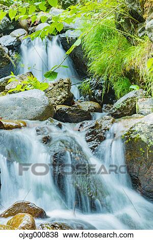 Stock Photo - Fresh green at Hatonosu Valley, Tokyo, Japan. Fotosearch