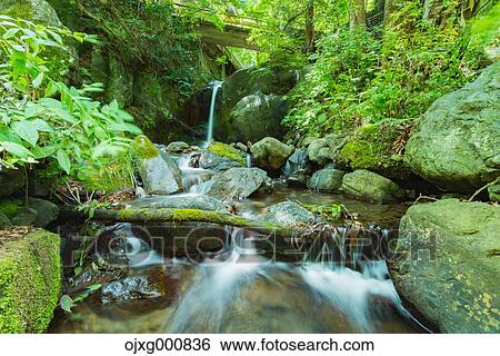 Fresh green at Hatonosu Valley, Tokyo, Japan View Large Photo Image Stock Photograph - Fresh green at Hatonosu Valley, Tokyo, Japan. Fotosearch